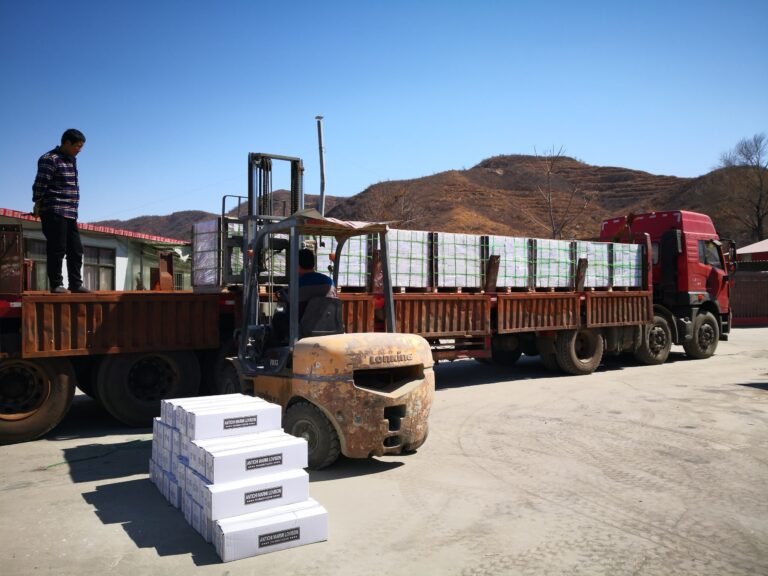 forklift loading stone pallets into truck for international shipping - export packing of thin ledgestone panels, carton and reinforced crating for container loading with landed freight optimization